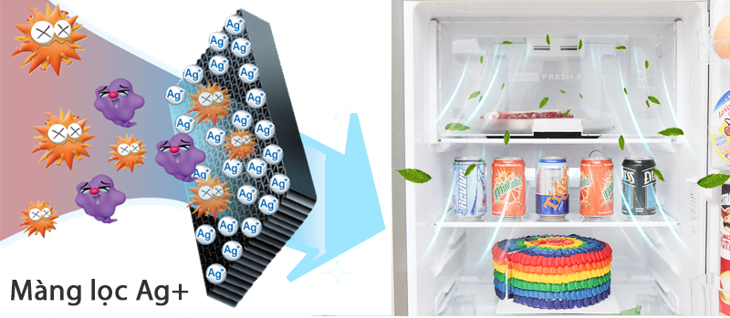 Tủ lạnh được khử mùi hôi nhờ phân tử bạc