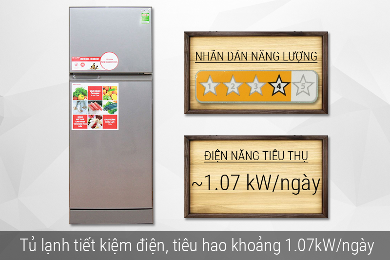 Tủ lạnh đạt chuẩn 4 sao tiết kiệm năng lượng