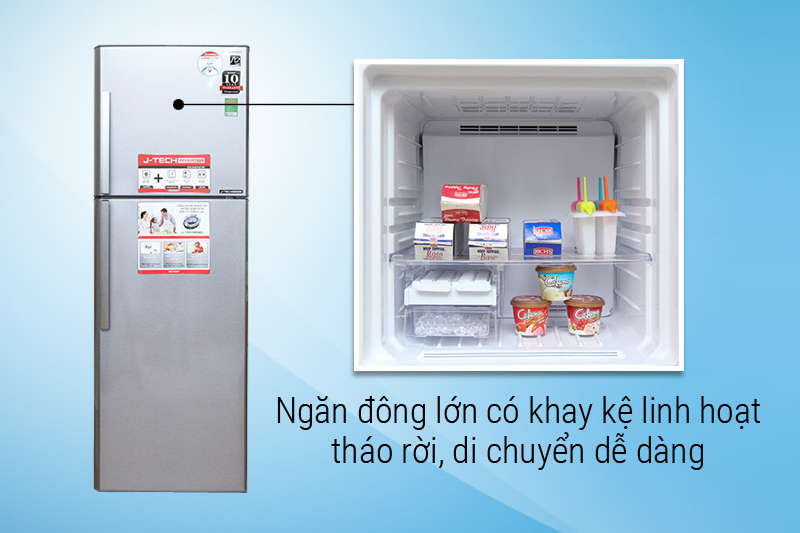 Ngăn đông lớn