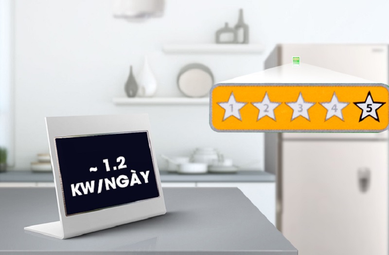 Tủ lạnh Hitachi 365 lít R-V440PGV3D