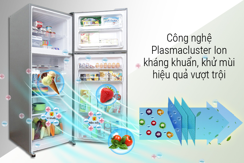 Công nghệ Plasmacluter Ion