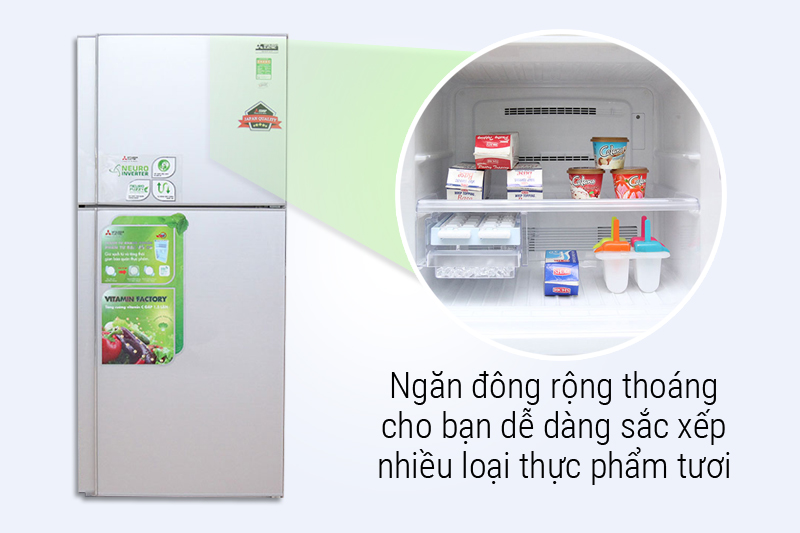 Ngăn đông rộng thoáng