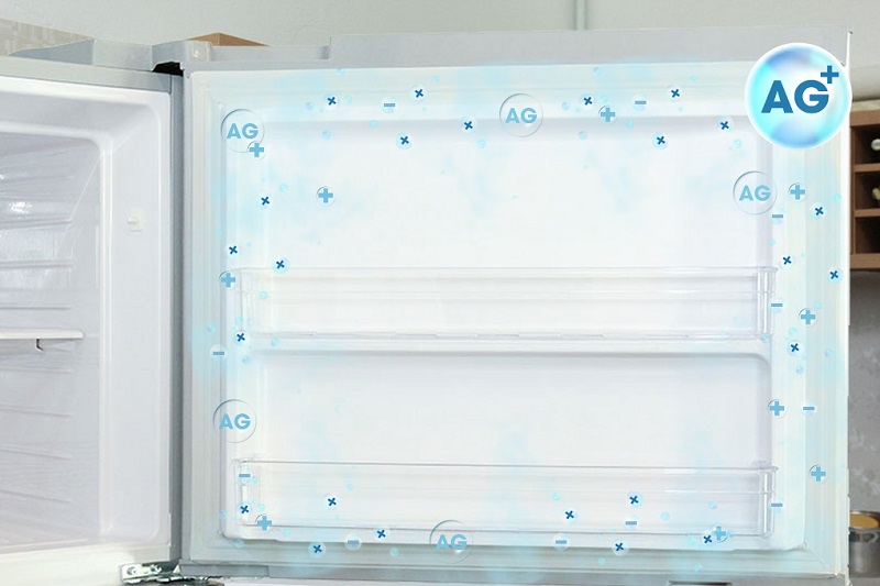 Với đệm cửa chống nấm mốc, tủ lạnh Hitachi R-V540PGV3 ngăn chặn mọi trường hợp vi khuẩn và nấm mốc xâm nhập vào tủ Với đệm cửa chống nấm mốc, tủ lạnh Hitachi R-V540PGV3 ngăn chặn mọi trường hợp vi khuẩn và nấm mốc xâm nhập vào tủ