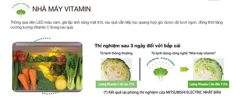 Nhà máy Vitamin ngay bên trong tủ