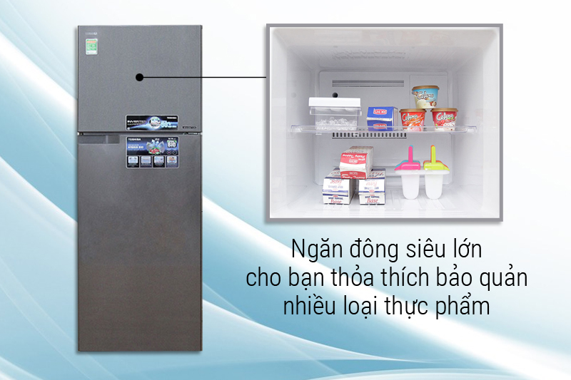 Ngăn đông lớn
