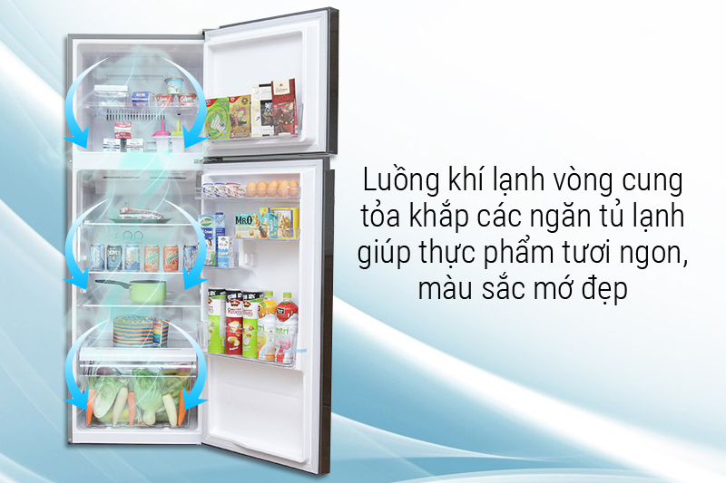Luồng khí lạnh vòng cung