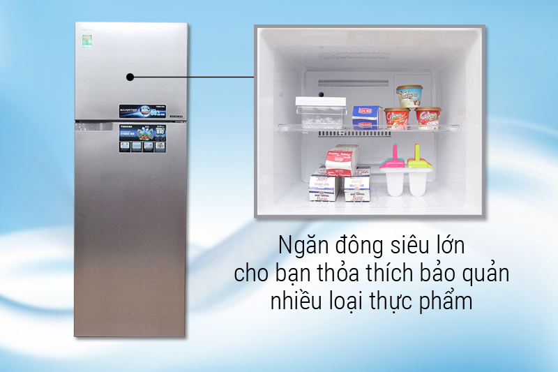 Ngăn đông lớn