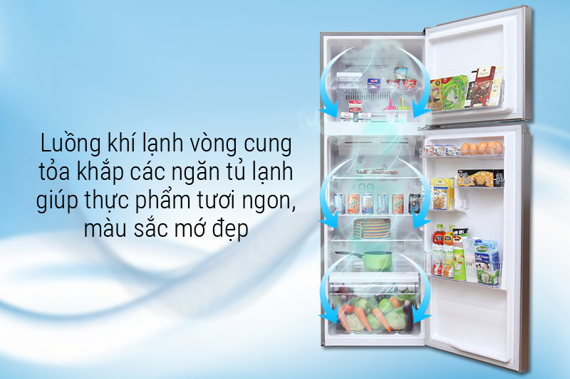 Luồng khí lạnh vòng cung