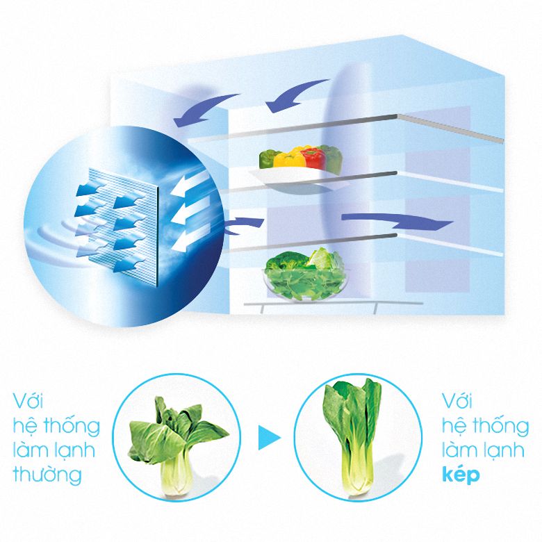 Khắc phục tình trạng héo, úa của rau củ