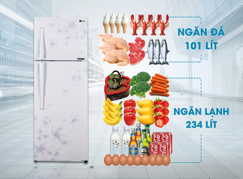 tủ lạnh LG GN-L225BF