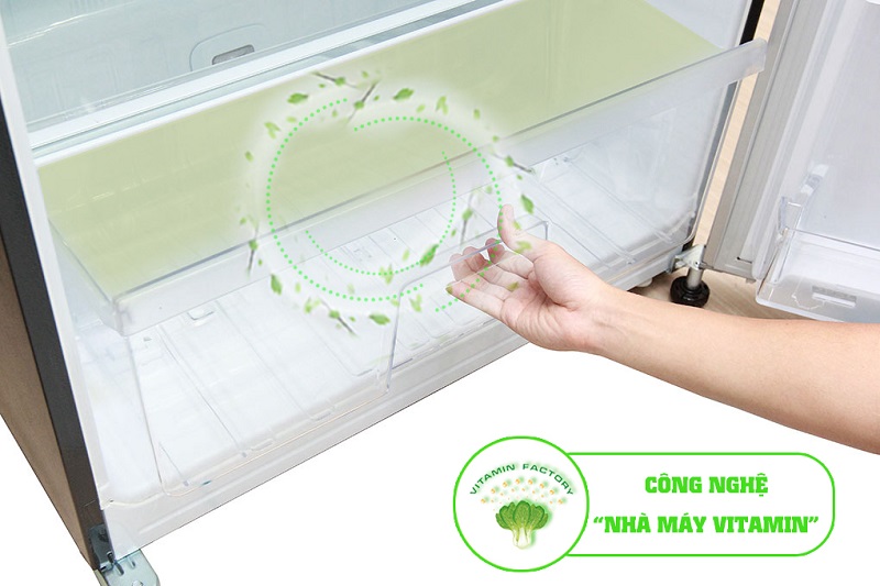 Bên cạnh đó, với đèn LED màu cam giả lập ánh sáng mặt trời, các loại rau, củ, quả sẽ tiếp diễn quá trình quang hợp xảy ra bên trong tủ Bên cạnh đó, với đèn LED màu cam giả lập ánh sáng mặt trời, các loại rau, củ, quả sẽ tiếp diễn quá trình quang hợp xảy ra bên trong tủ