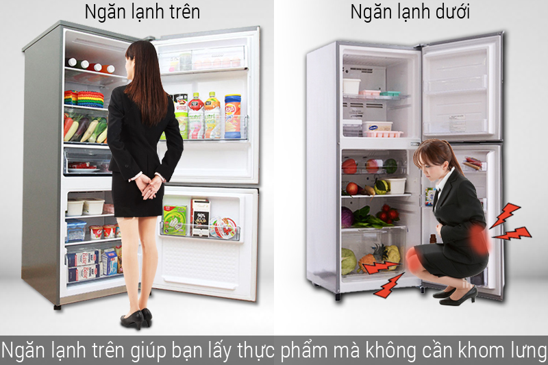 Tủ lạnh có ngăn mát trên