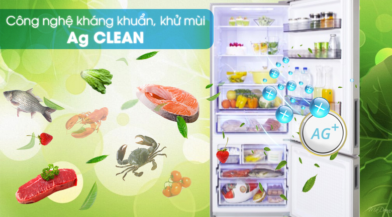 Công nghệ kháng khuẩn Ag Clean tiên tiến - Tủ lạnh Panasonic Inverter 405 lít NR-BX468XSVN Công nghệ kháng khuẩn Ag Clean tiên tiến - Tủ lạnh Panasonic Inverter 405 lít NR-BX468XSVN