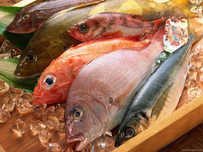 Bảo quản thực phẩm tươi ngon Bảo quản thực phẩm tươi ngon