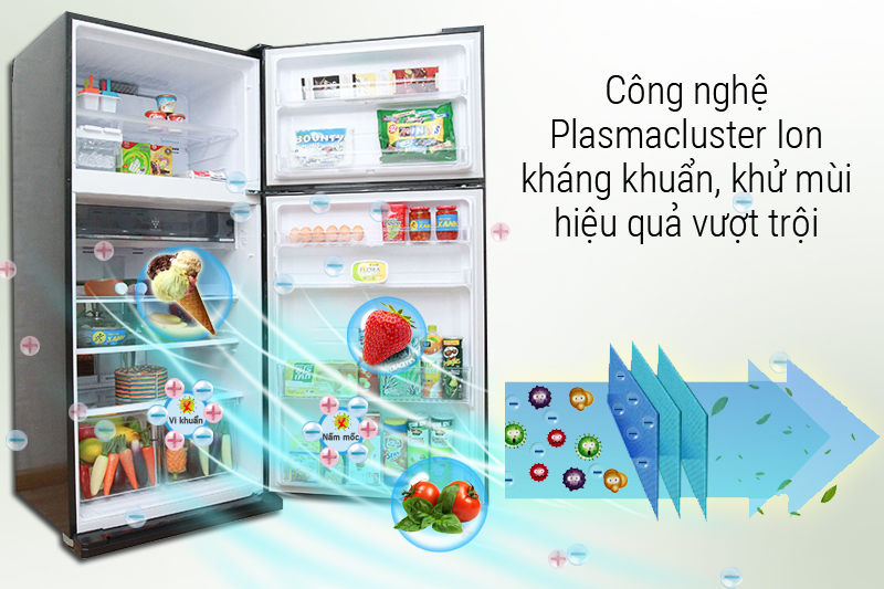 Công nghệ khử khuẩn Plasmacluter Ion