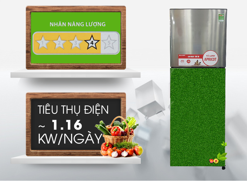Tủ lạnh Sharp SJ-250E-SL chỉ hao tốn khoảng 1.16 kW điện năng