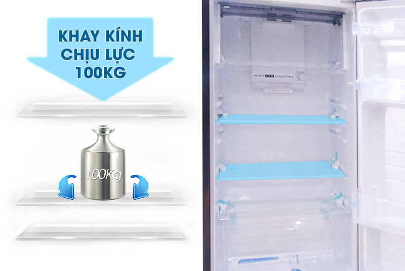 Chiếc tủ lạnh Sharp này còn có khay kính có thể chịu lực cao