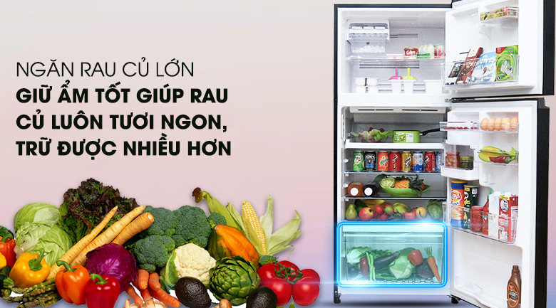 Tủ lạnh Toshiba Inverter 359 lít GR-TG41VPDZ