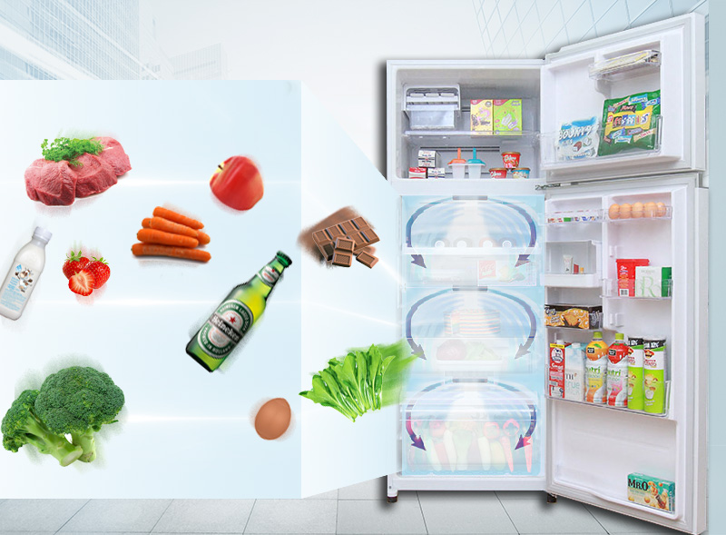 Luồng khí lạnh vòng cung phân phối khí lạnh đồng đều Luồng khí lạnh vòng cung phân phối khí lạnh đồng đều