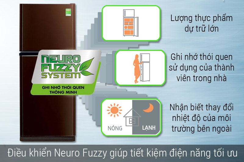 Điều khiển Neuro Fuzzy thông minh