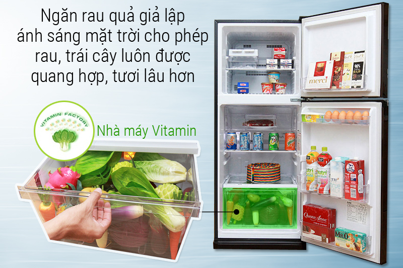 Nhà máy Vitamin