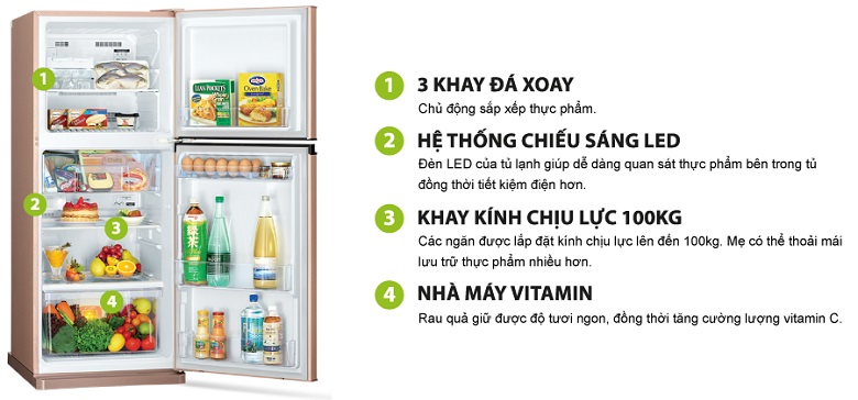 Thiết kế bên trong tủ