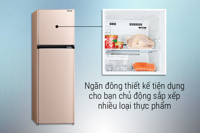 Ngăn đông dung tích lớn