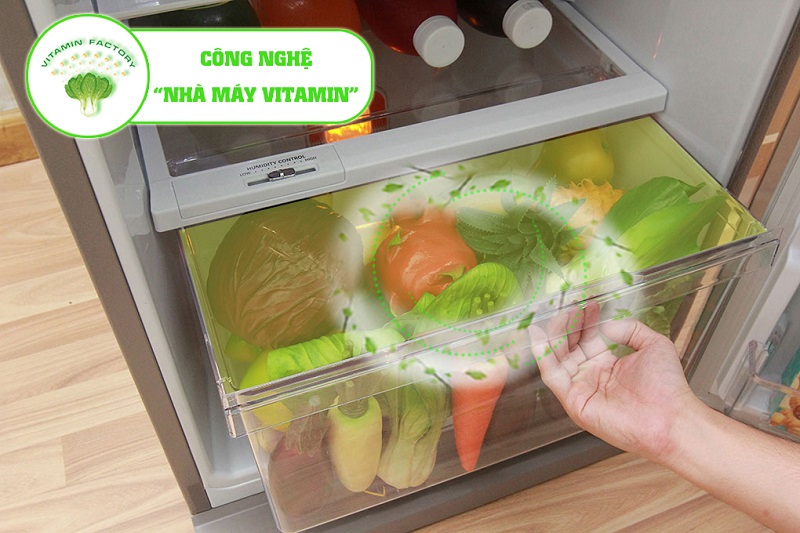 Ngăn rau củ của tủ lạnh Mitsubishi Electric MR-FV24J-PS-V có tính năng bảo quản đặc biệt gồm hai tiện ích là tạo ra môi trường để quang hợp, cung cấp vitamin C