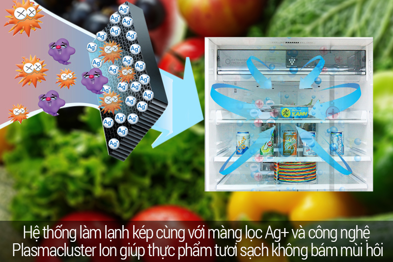 công nghệ khử khuẩn