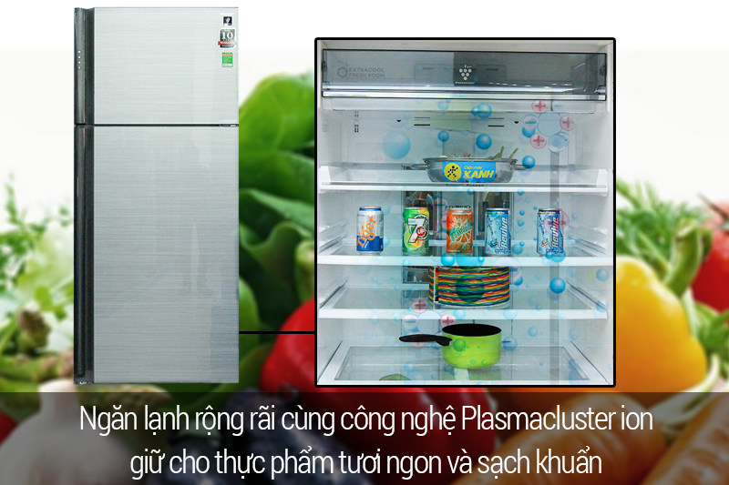 ngăn lạnh