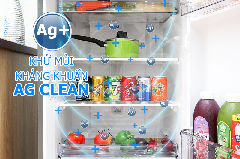 Vô hiệu hoá vi khuẩn