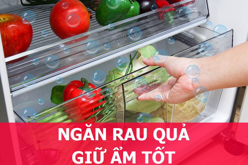 Ngăn rau củ giữ ẩm