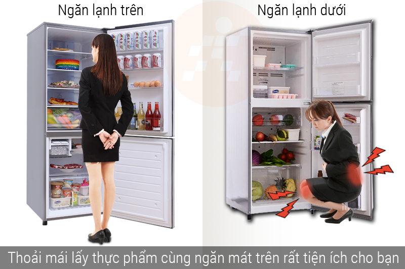 Tủ lạnh ngăn đá dưới