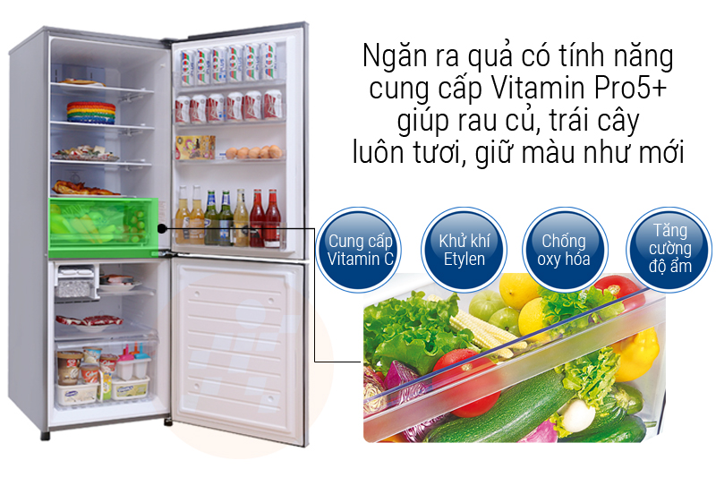 Ngăn rau cung cấp Vitamin