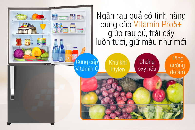 Ngăn rau cung cấp Vitamin