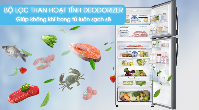 Deoodorizer - Tủ lạnh Samsung Inverter 443 lít RT43K6331SL/SV