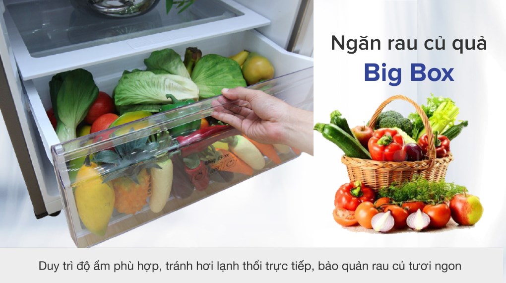 Tủ lạnh Samsung Inverter 380 lít RT38K5982SL/SV