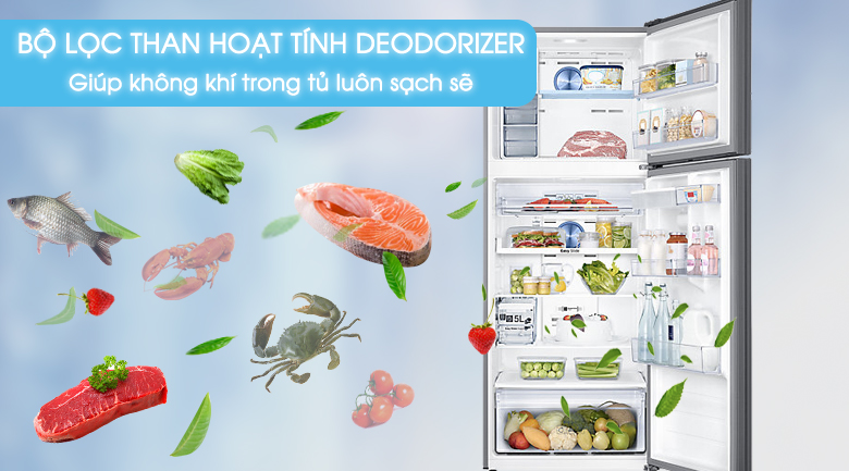 Bộ lọc Deodorizer - Tủ lạnh Samsung Inverter 451 lít RT46K6836SL/SV