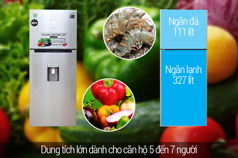 dung tích