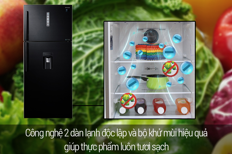 ngăn lạnh