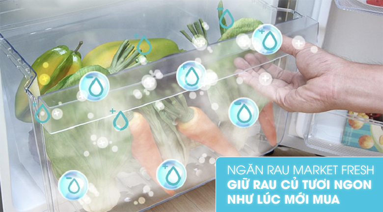Ngăn FreshMarket giúp bảo quan rau củ tươi ngon lâu hơn - Tủ lạnh Electrolux Inverter 211 lít ETB2100MG Ngăn FreshMarket giúp bảo quan rau củ tươi ngon lâu hơn - Tủ lạnh Electrolux Inverter 211 lít ETB2100MG