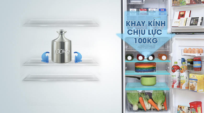 Khay kệ an toàn, chắc chắn - Tủ lạnh Electrolux Inverter 211 lít ETB2100MG Khay kệ an toàn, chắc chắn - Tủ lạnh Electrolux Inverter 211 lít ETB2100MG