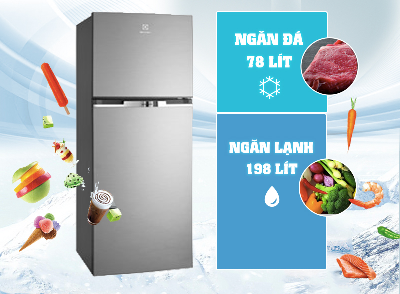 Tủ lạnh Electrolux 254 lít ETB2600MG
