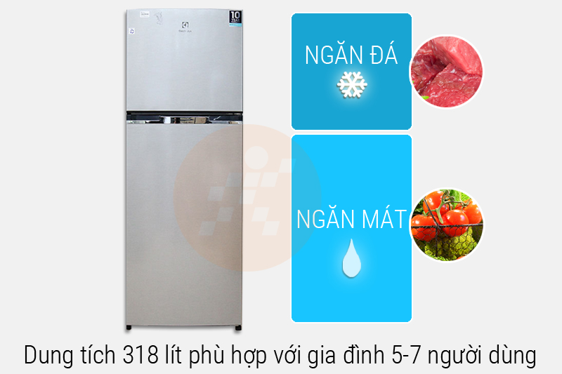 Dung tích tủ lạnh