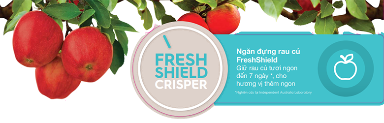 Ngăn đựng rau củ Fresh Shield nâng thời gian bảo quản rau, củ, quả lên đến 7 ngày
