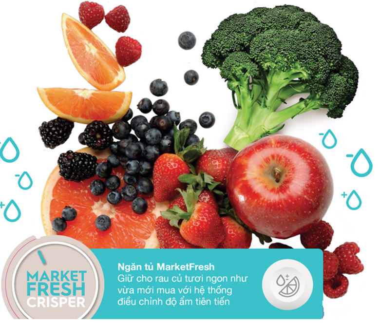Market Fresh đi cùng với Fresh Shield giúp giữ độ ẩm thích hợp cho ngăn tủ rau quả