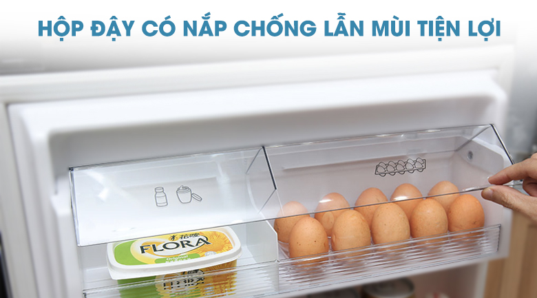 Tủ lạnh Panasonic Inverter 255 lít NR-BV288GKVN