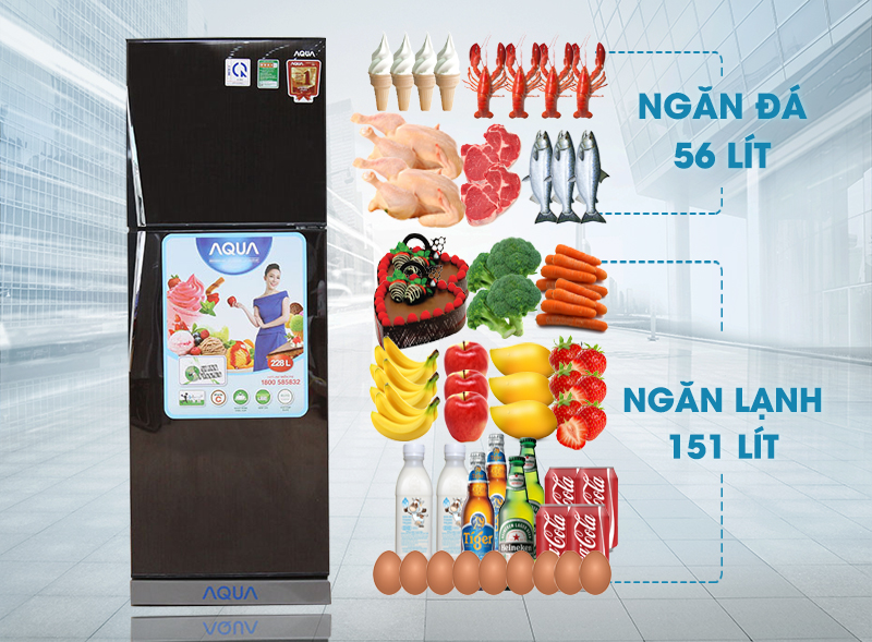 Tủ lạnh Aqua 228 lít AQR-P235BN DC