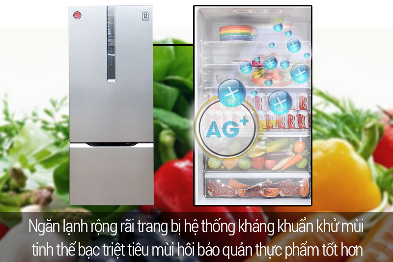 Ngăn lạnh