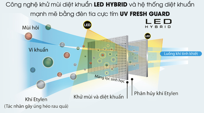 Tủ lạnh Toshiba Inverter 468 lít GR-HG52VDZ XK